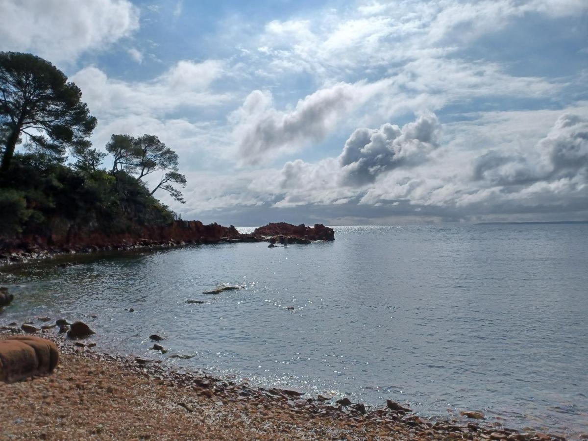 Appart Cosy En Bord De Mer - Port Santia Lucia St Raphael Saint-Raphaël Eksteriør billede